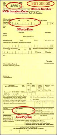 offence number on red light camera