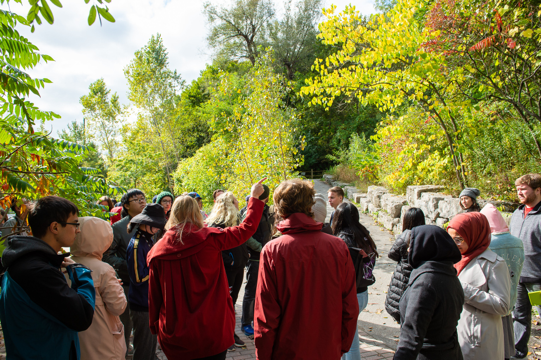 Staff shows details of a maple tree to a crowd