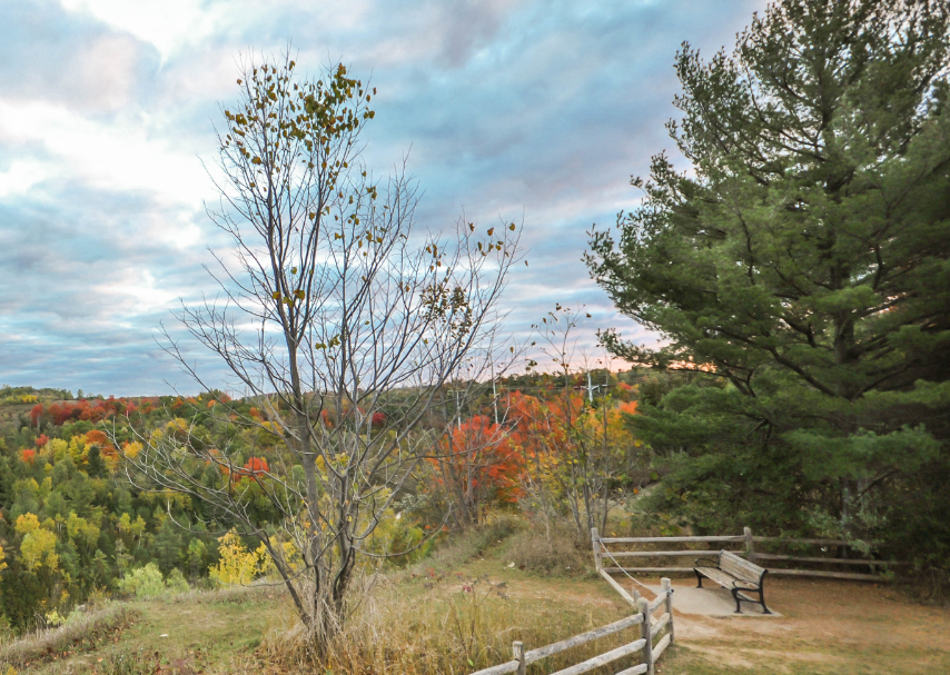 Autumn landscape with colorful foliage, a cloudy sky, and a wooden bench overlooking a forested valley.