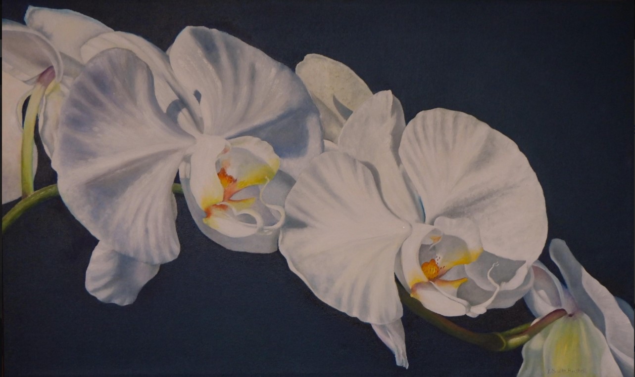 Painting of Orchids