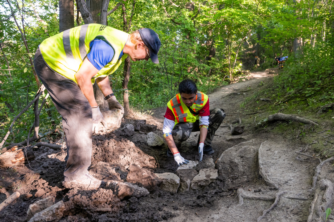 Two volunteers placing stones in soil on a natural surface trail to repair it.