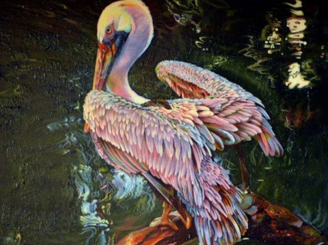 Painting of pelican.