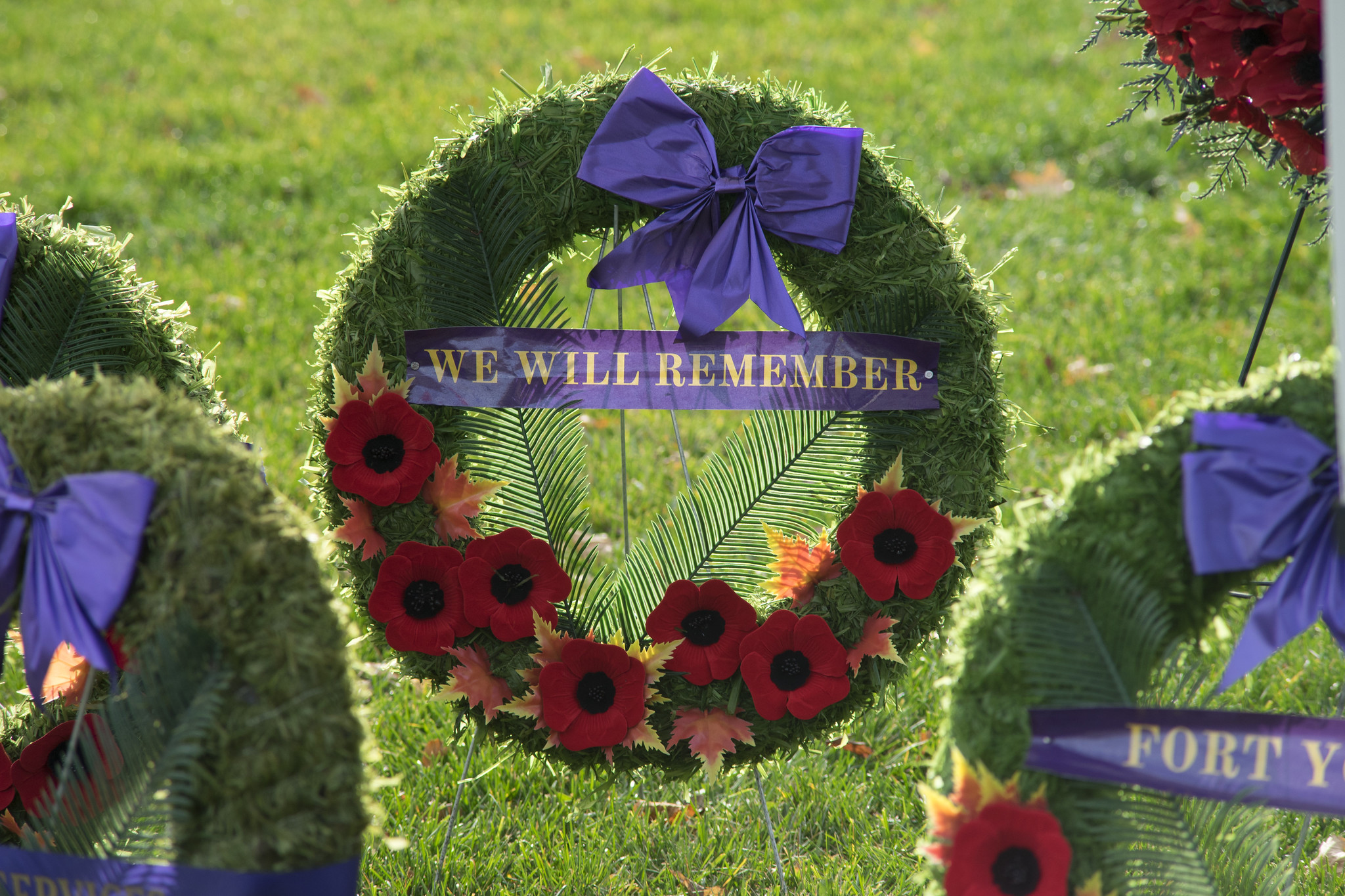 A green remembrance wreath, with red poppies and purple ribbon inscribed with We Will Remember
