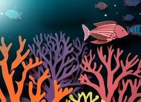 A red fish next to multi-colour coral, in dark water.