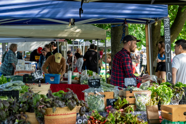 Peak Season! several booth showing local produce with vendors and customers interacting.