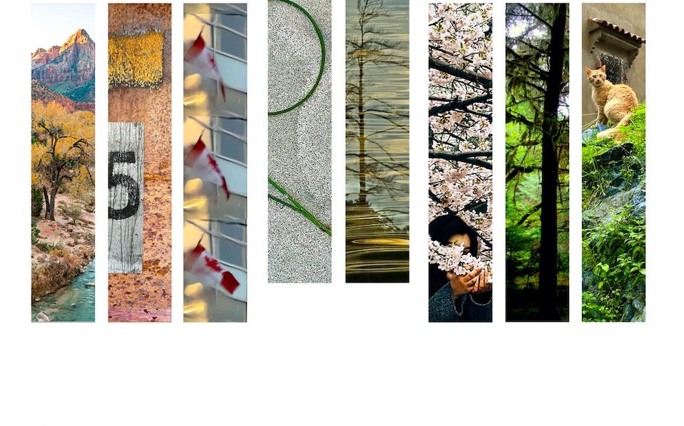 A collage of different nature images.