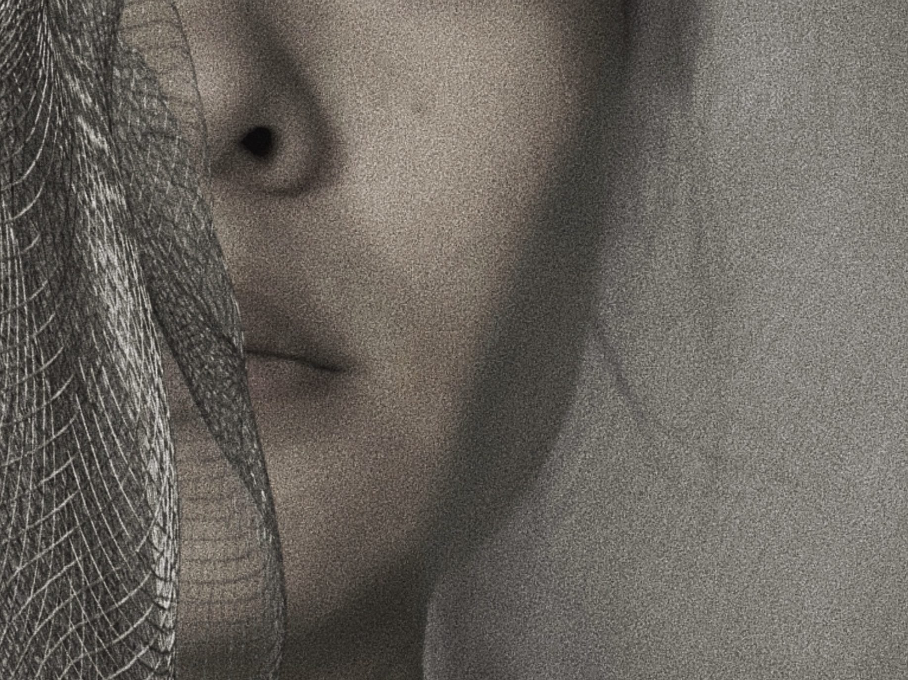 Close-up of a face partially obscured by metal mesh.