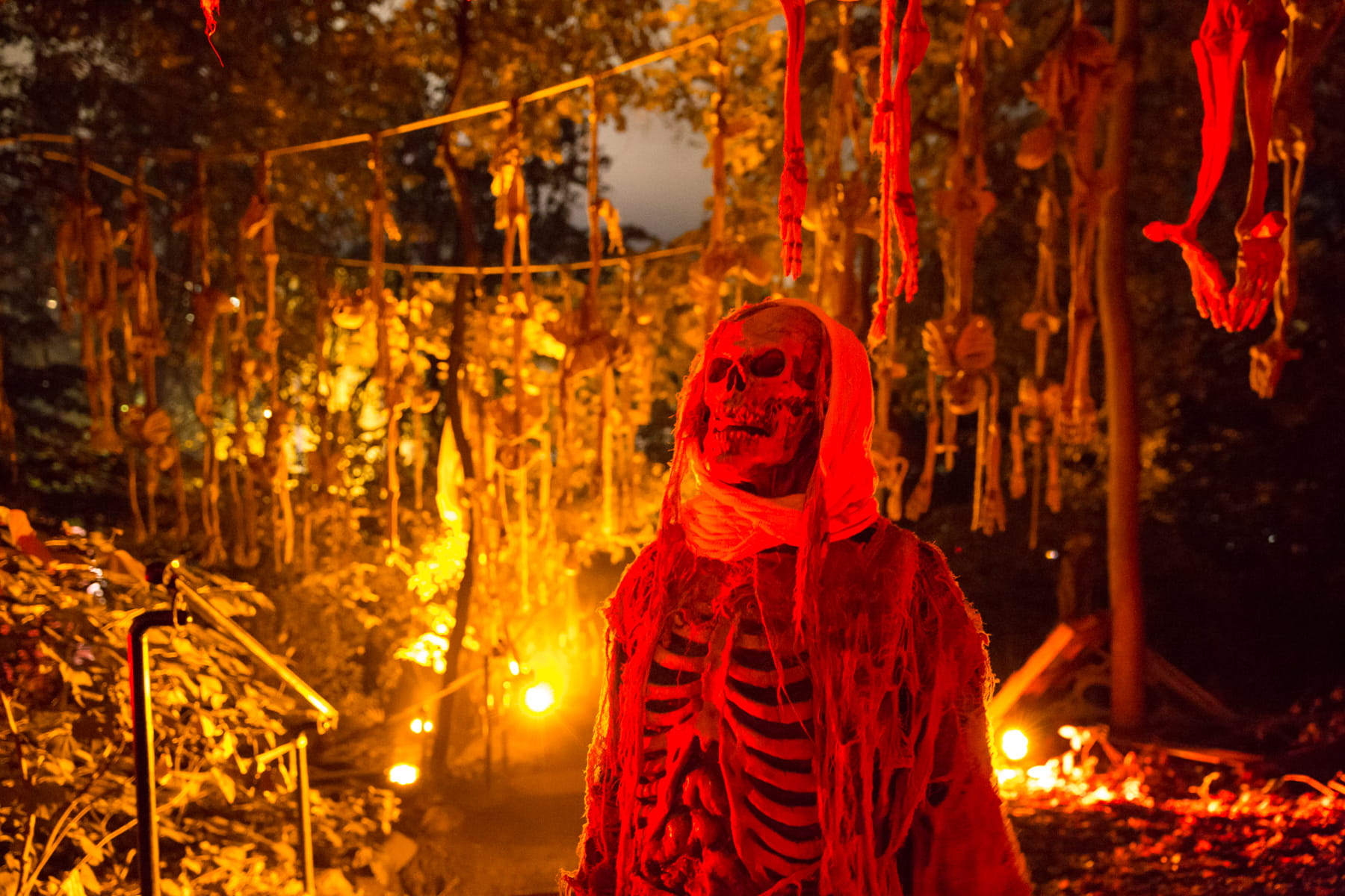 Orange and yellow lights in the background with a skeleton wrapped in raggy fabrics