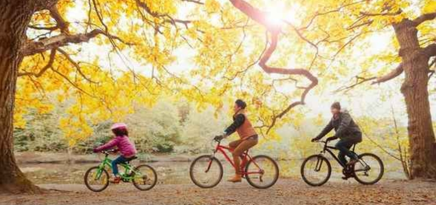 3 people biking through a fall landscape