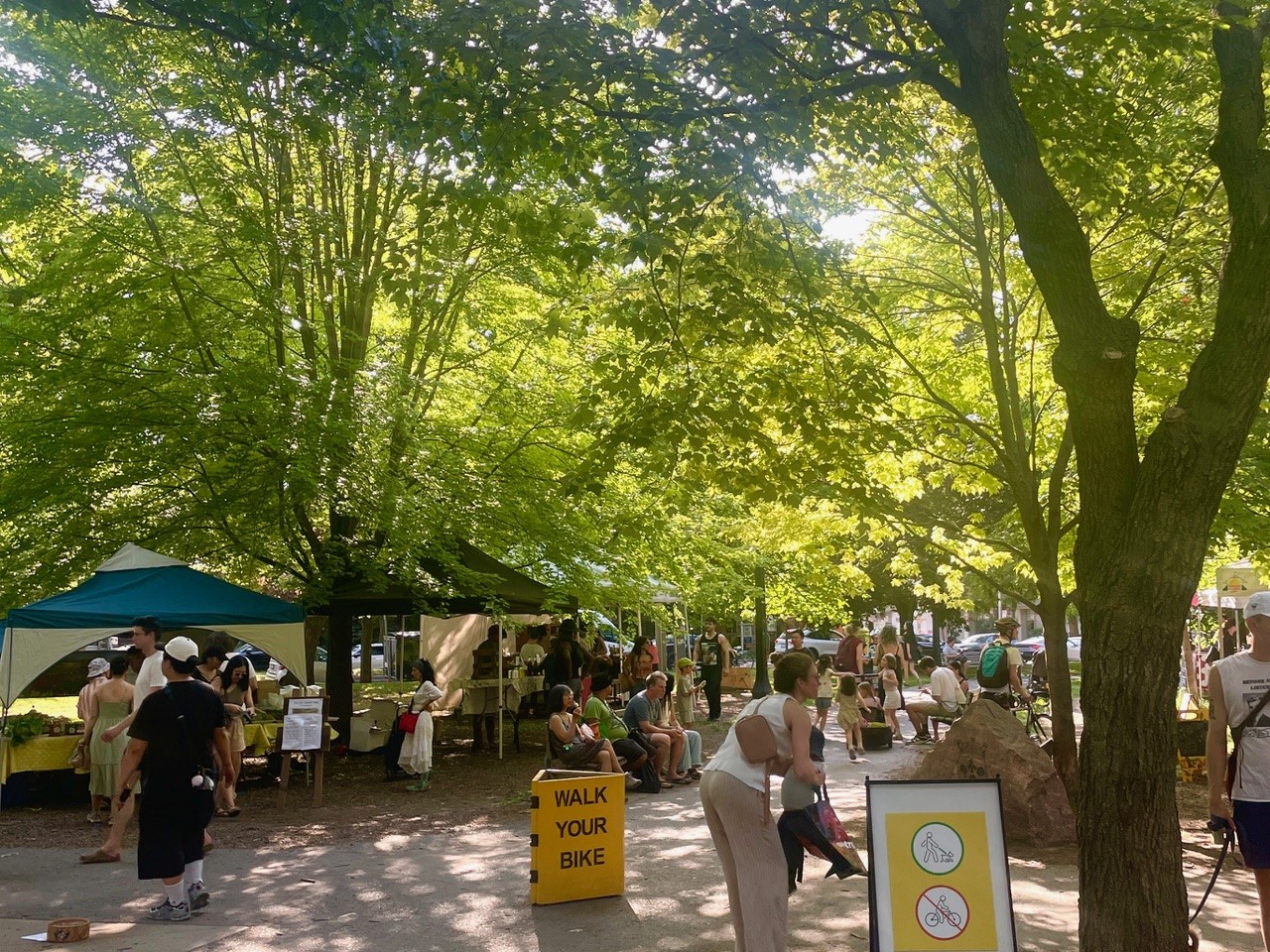farmers' market in a park under the canopy of green trees. People walking and shopping at the various booth.