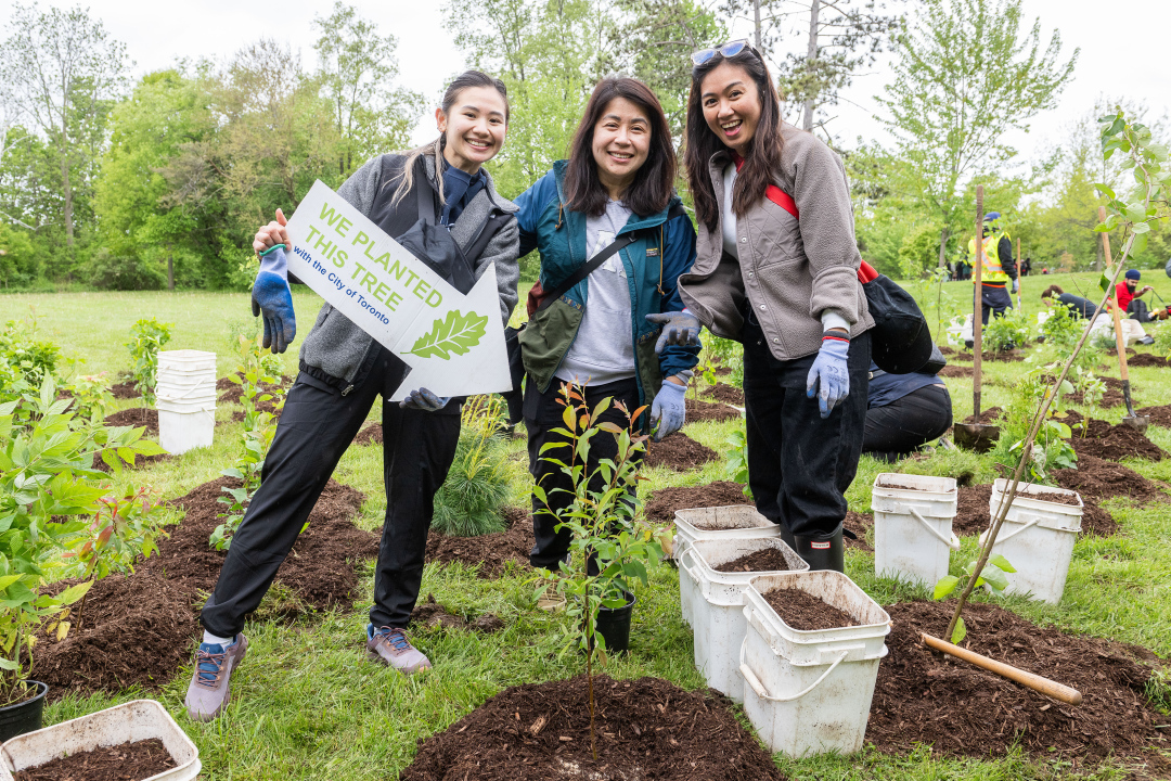 Three volunteers posing with a newly planted native shrub