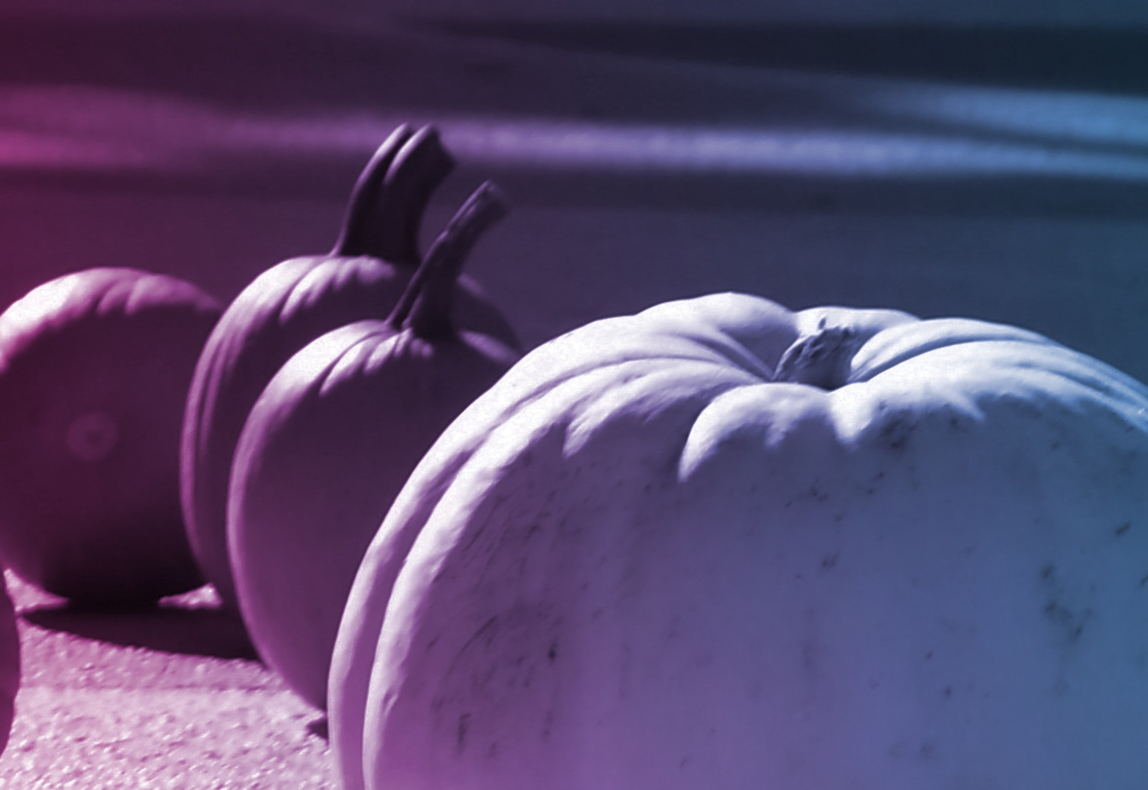 6 pumpkins sitting upright on the pavement with a pink/blue filter overlaid overtop