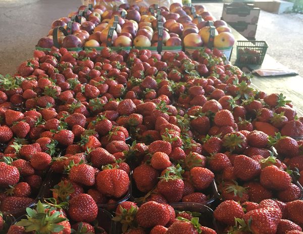 seasonal strawberries in a farmers market booth
