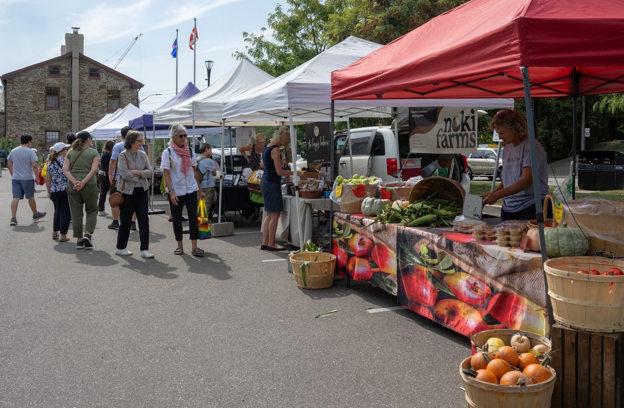 Shoppers at row of farmers' market booths