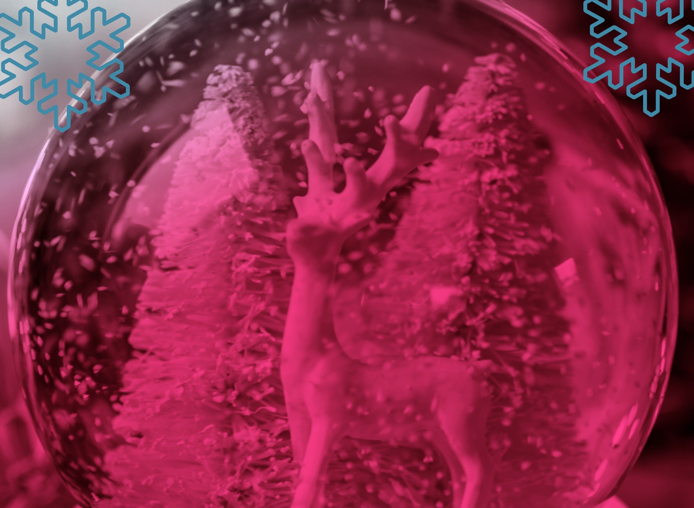 Snow globe with a reindeer inside, and a pink filter overlaid on top of the picture