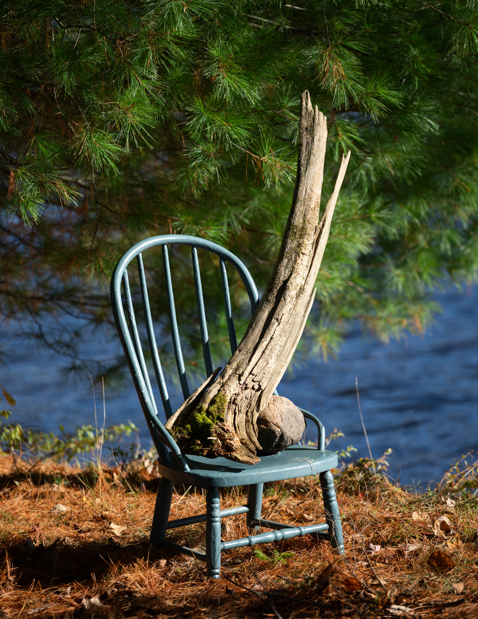 A chair sits in a wooded area, in the background is dark blue water, a tree stump on the chair