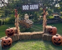 A halloween display in a park with hay bales, jack-o-lanterns, a skeleton and sign that reads Boo Barn