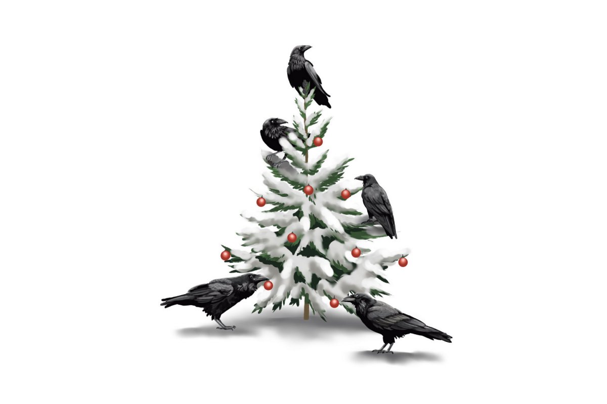Ravens around a snow-covered evergreen adorned with red balls.